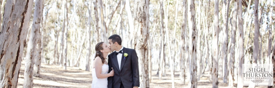 romantic wedding portraits in the eucalyptus groves at UCSD faculty club La jolla
