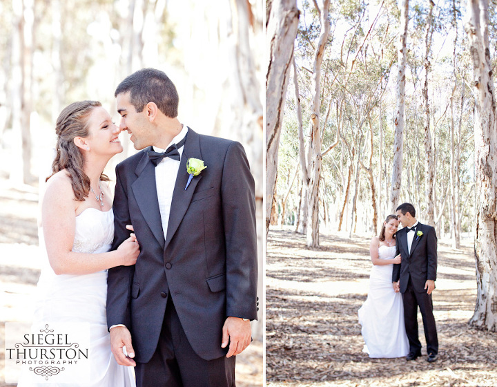 Wedding portraits in the eucalyptus groves at UCSD faculty club La jolla