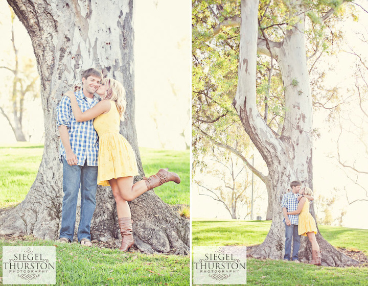 Romantic engagement photos under a large tree at Poway Lake park