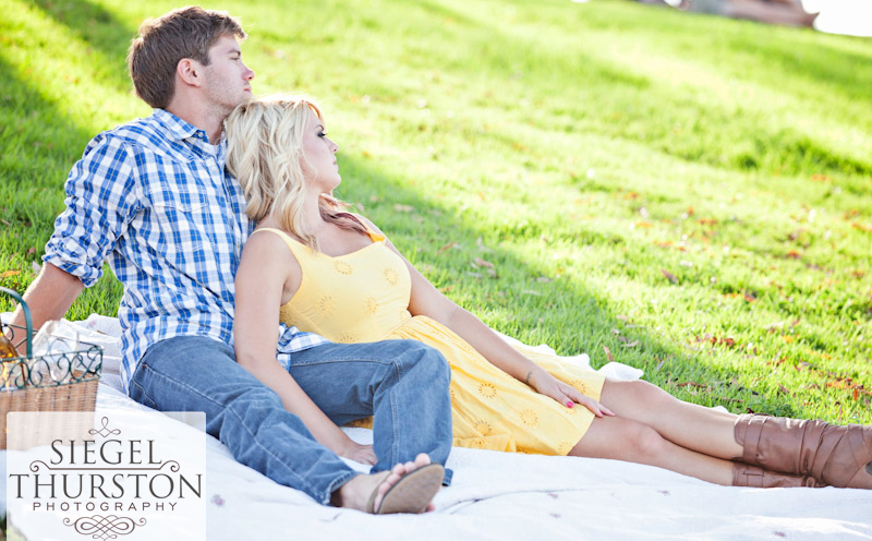 romantic picnic engagement by san diego wedding photographers