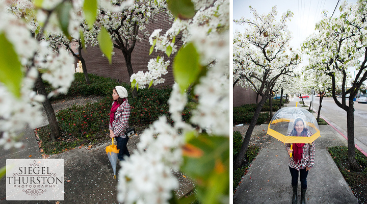 rainy day portraits with blooming ornamental pear trees