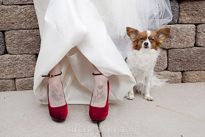 having your dog in your wedding