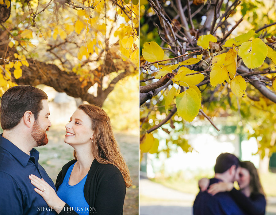 the trees in Julian make for a fun fall engagement shoot in san diego