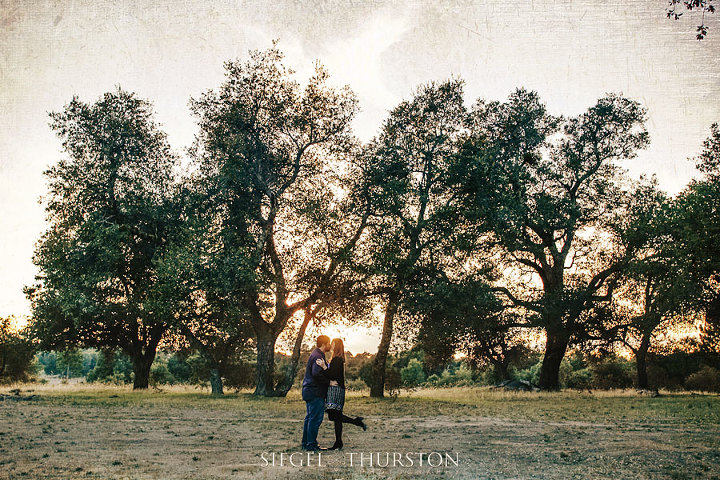 engagement pictures with trees in Julian