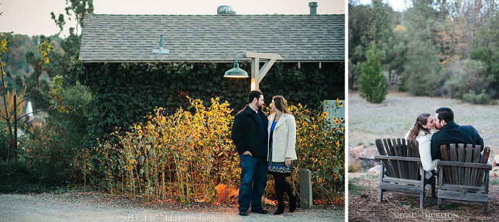 sunflower engagement photos