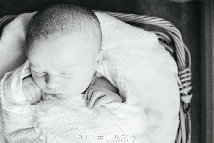 new born baby sleeping in a basket