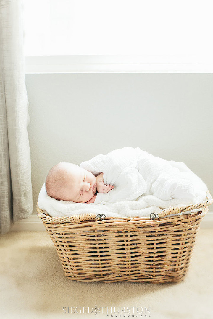 newborn photographer san diego