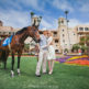 syled engagement shoot with a race horse at the del mar track