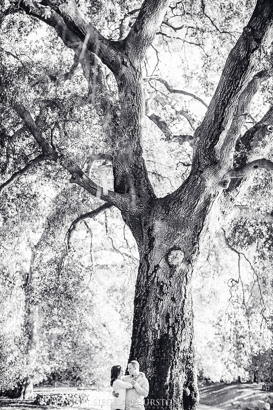 irvine regional park engagement photos