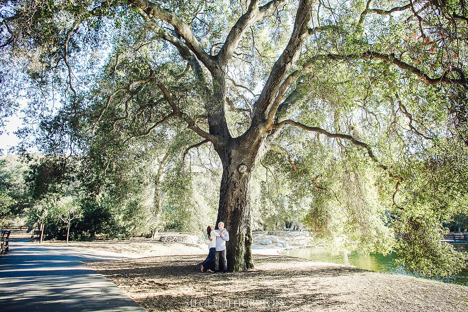 engagement photos with big old tree in irvine park