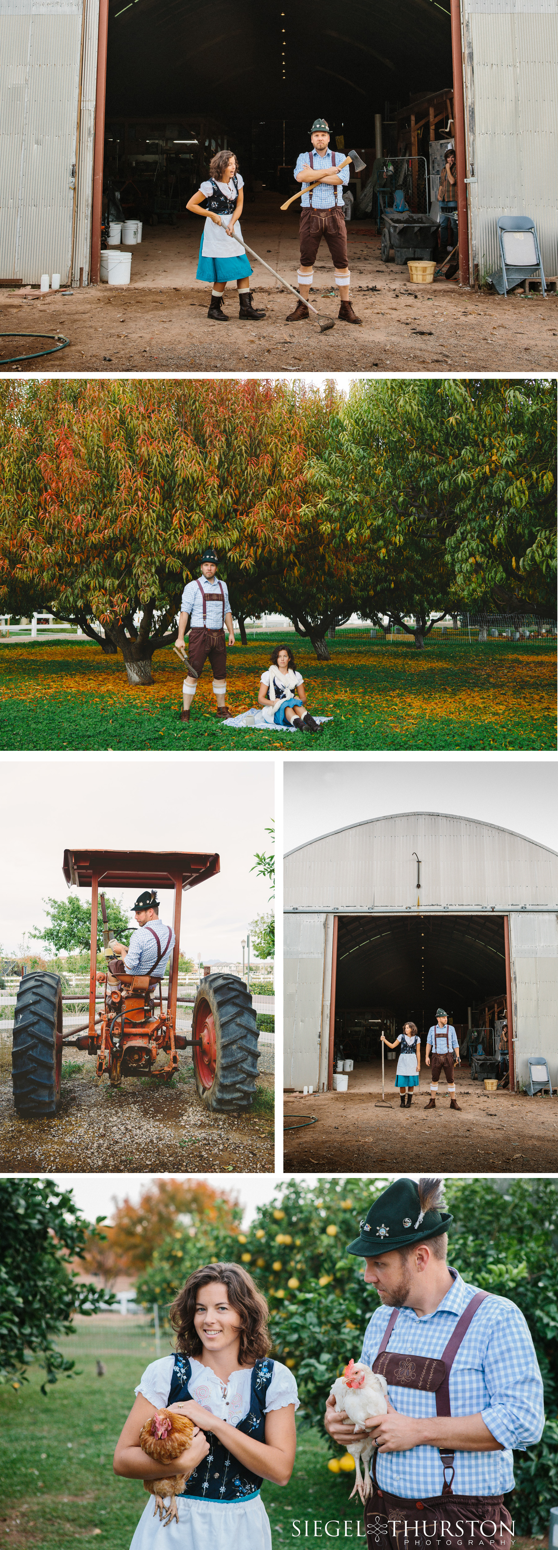 funny christmas cards taken on a farm