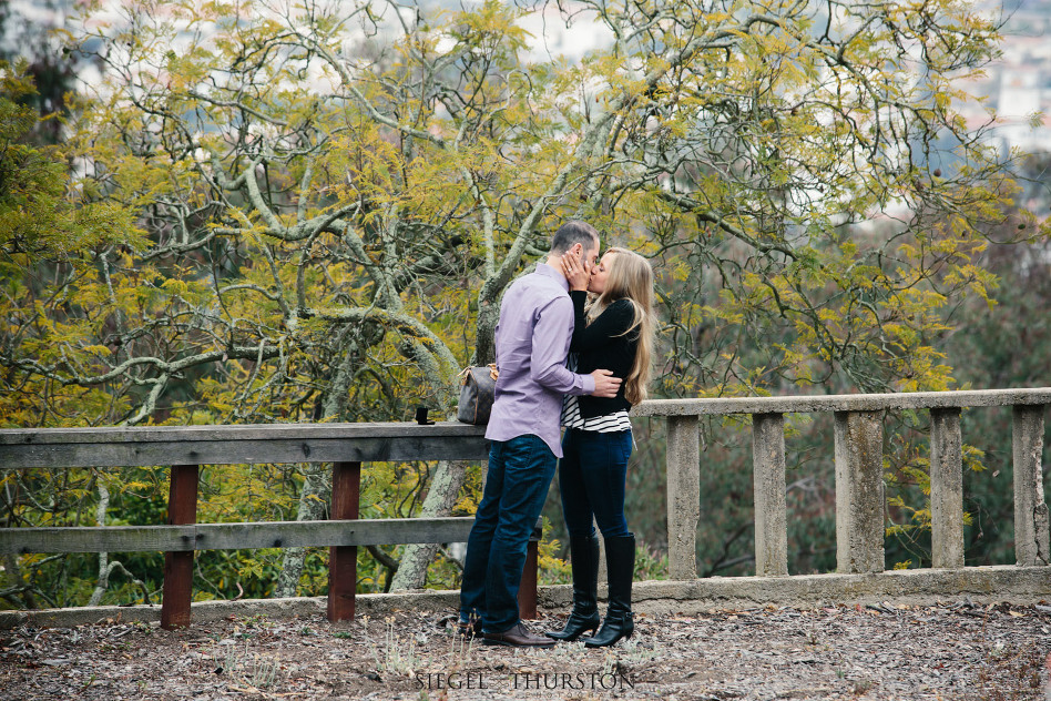 Proposal at Franceschi Park