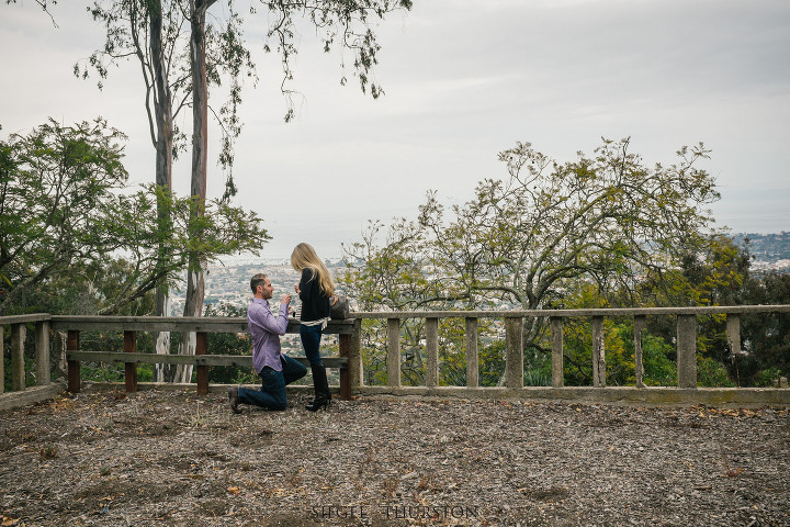 Live Santa Barbara Proposal at Franceschi Park