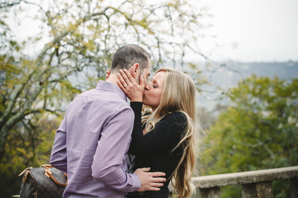 Live Santa Barbara Proposal at Franceschi Park