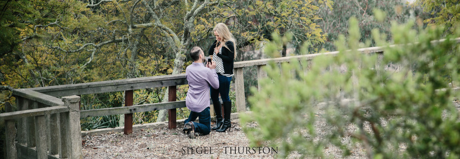 Live Santa Barbara Proposal at Franceschi Park