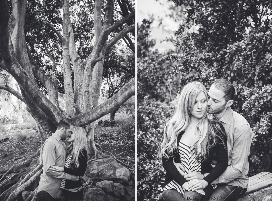 Romantic Engagement photos at Franceschi Park in Santa Barbara