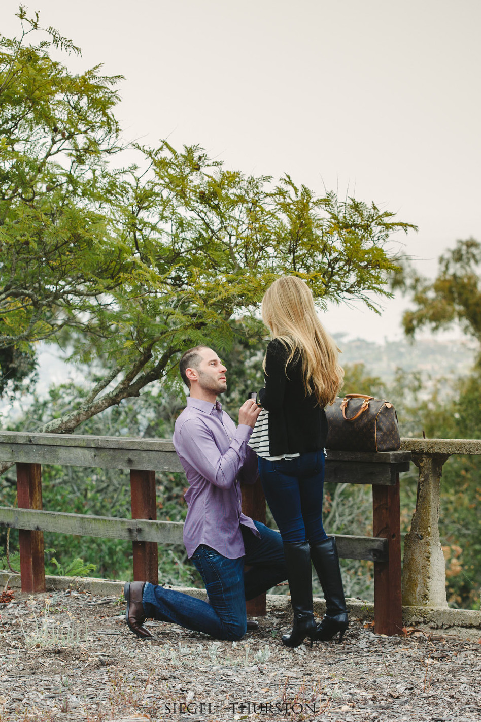 Live Santa Barbara Proposal at Franceschi Park