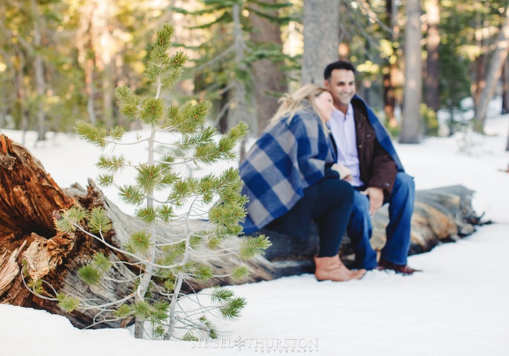 outdoor woods engagement shoot