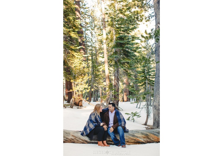 winter woods engagement photos