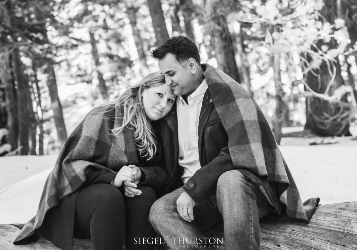 romantic winter woods engagement