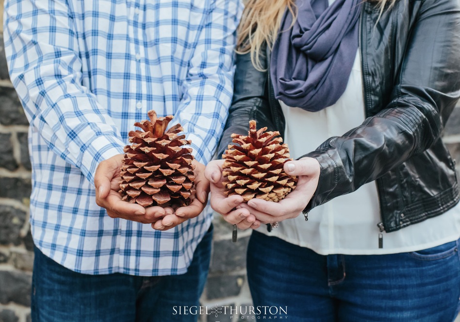 winter pinecone engagement photo