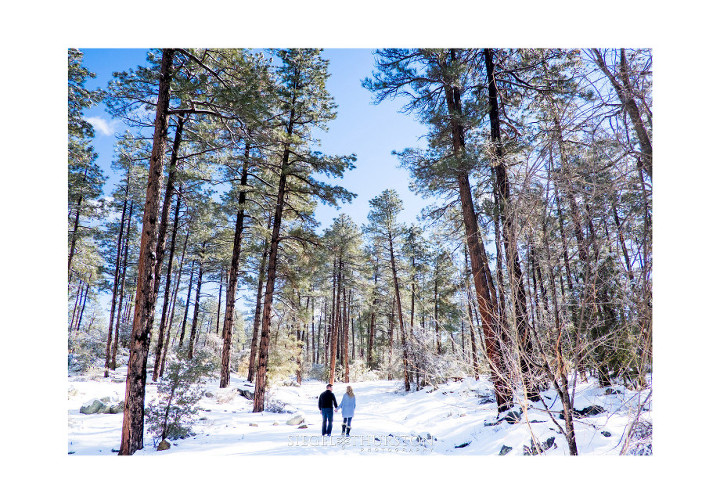 destination snow engagement shoot 